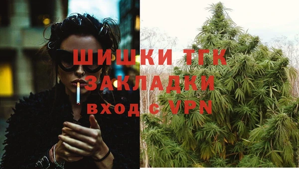 стаф Баксан