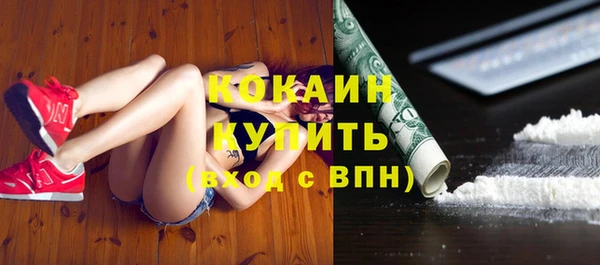 стаф Баксан