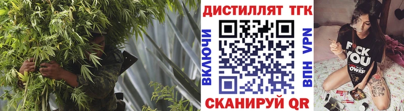 дарнет шоп  Терек  мега маркетплейс  Дистиллят ТГК вейп 